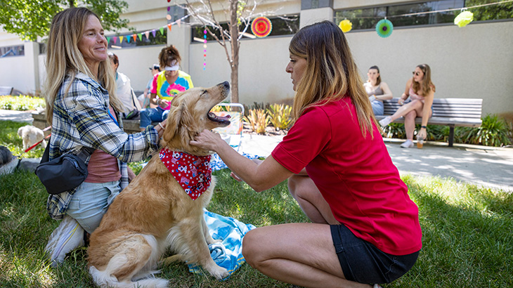 Golden retriever smiling broadly at event participant petting it.