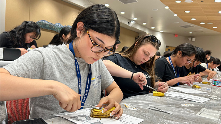 A teenage girl with glasses sitting at a desk in lecture hall practices her suturing skills by threading the slit in a banana peel 