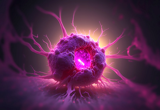 Cancer cell 