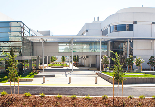 Daylight exterior view of the Comprehensive Cancer Center