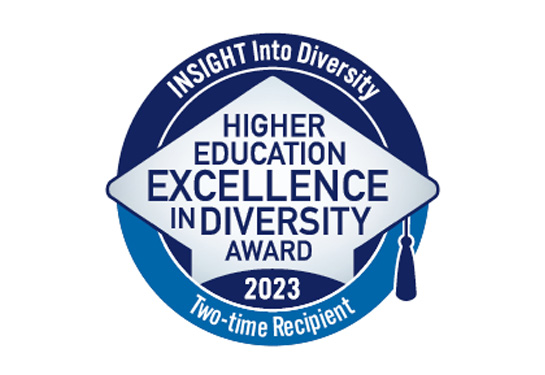  Image of 2023 Health Professions Higher Education Excellence in Diversity (HEED) award, designed with dark and light blue and gray colors