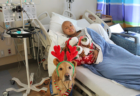 Young person in a hospital bed with toys with a dog in front with headphones
