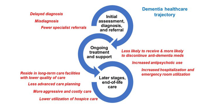 An illustration shows red text and three blue interconnected loops with arrows representing disparities in dementia care.