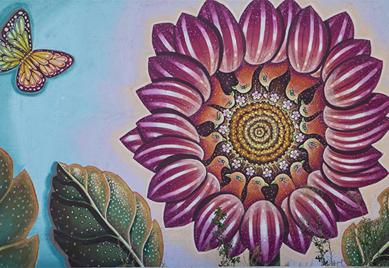 A painted mural showing a large pink sunflower flower and butterflies against a blue sky.