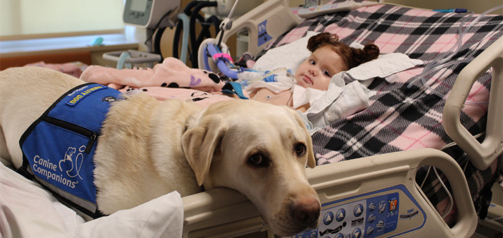Alaina Daniels laying in a hospital bed with a companion dog