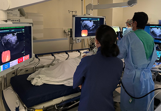 Three people wearing surgical scrubs standing next to patient lying in bed looking at ultrasound monitors