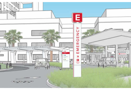 A rendering of the ED
