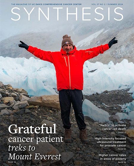 cover of Synthesis Magazine