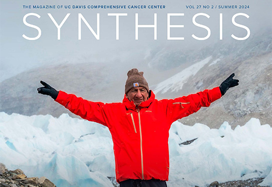 Cover of Synthesis magazine