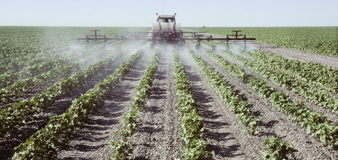 A crop sprayer spraying young cotton plants in a field in the San Joaquin Valley, California.