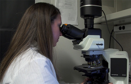 Brittany Dugger looking through an electronic microscope.