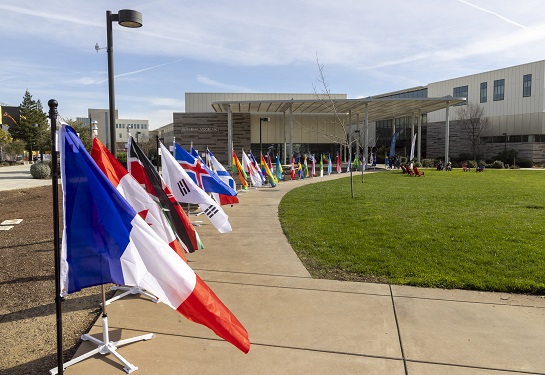 Flags from around the world lined up outside the School of Medicine.