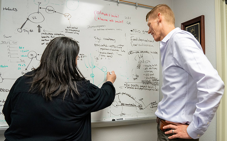 Two researchers face a whiteboard covered with diagrams and scientific notes, while one person writes notes on the board. 