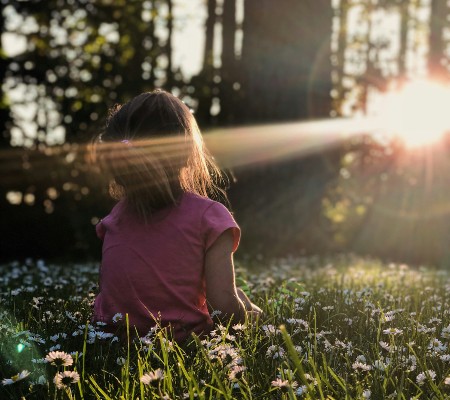 Little girl with pink shirt sitting in a filed of flowers, looking at the sunrise