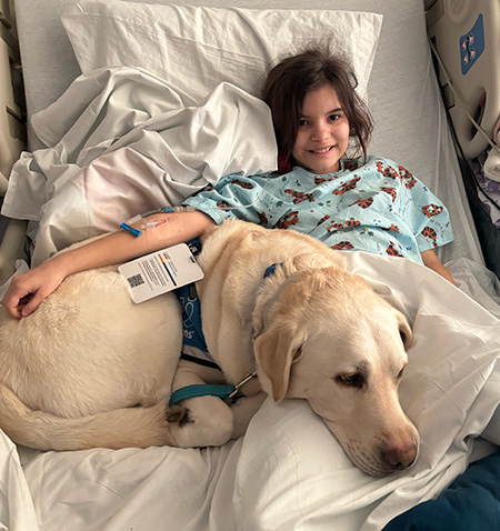 Child lies in hospital bed with labrador dog.