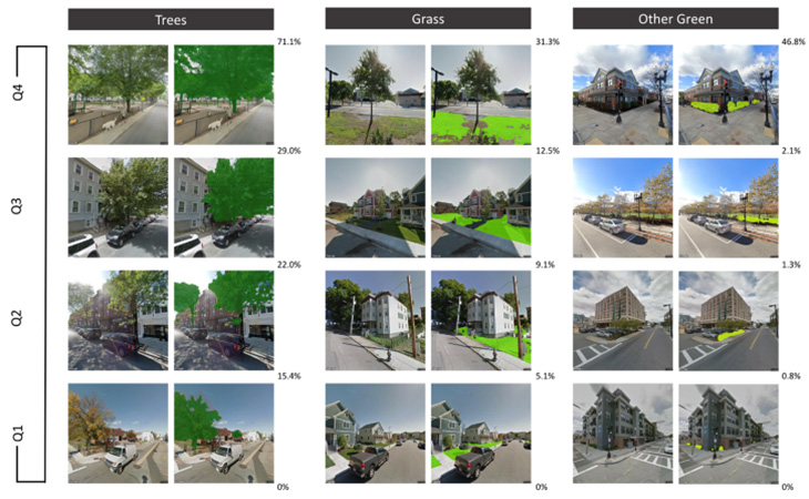 A series of images showing trees, grass and other green in an urban environment.