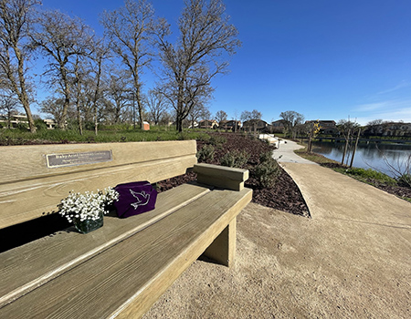 Bench near lake