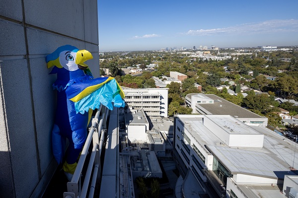A falcon mascot spreads its wings on a rooftop while a photographer captures images nearby.