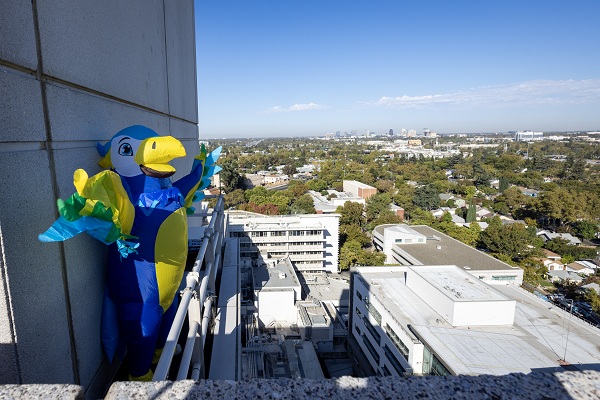 A falcon mascot spreads its wings on a rooftop while a photographer captures images nearby.
