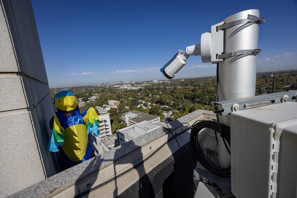 A falcon mascot poses beside the live falcon camera overlooking the Sacramento region.