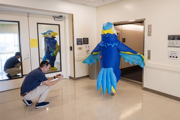 A blue and yellow falcon mascot stands near an elevator while a photographer takes photos inside UC Davis Health.