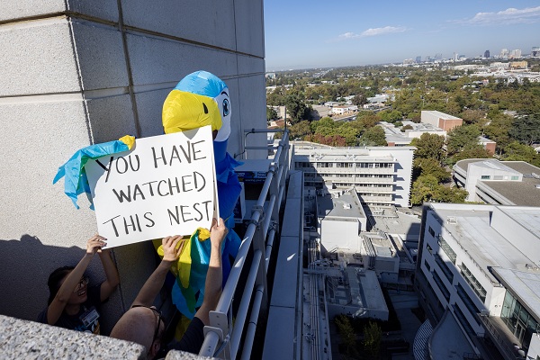 A falcon mascot displays a sign reading &ldquo;YOU HAVE WATCHED THIS NEST&rdquo; near the falcon camera.