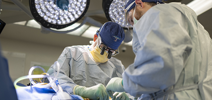 Two surgeons in their scrubs are operating on a patient.