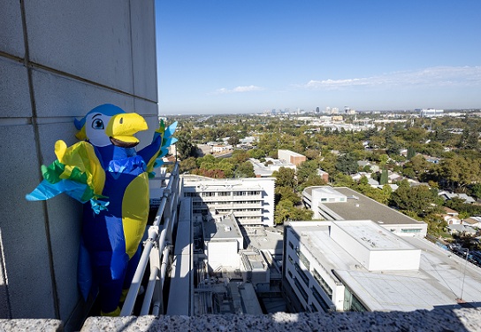 A person in a yellow and blue bird costume stands atop medical center looking at Sacramento downtown