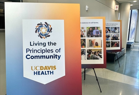 Principles of Community gallery