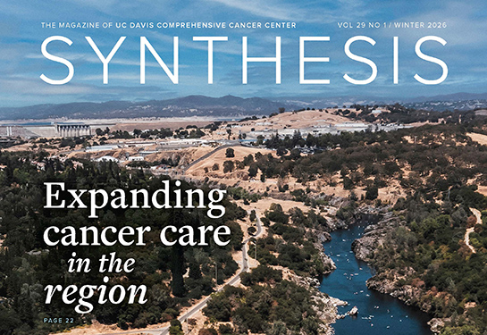 Synthesis covers of south fork of the American River