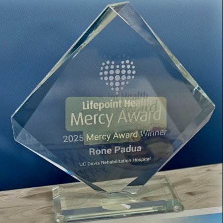 Image of Rona's award, made of glass in a triangle shape