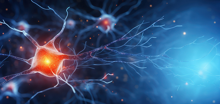  Microscopic view of a neuron, highlighting its intricate network of axons and dendrites, with a bright central area suggesting neural activity.