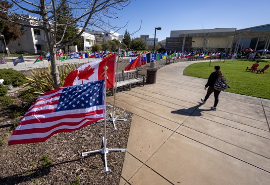 Flags from dozens of nations line the walkway to the Principles of Community Showcase.