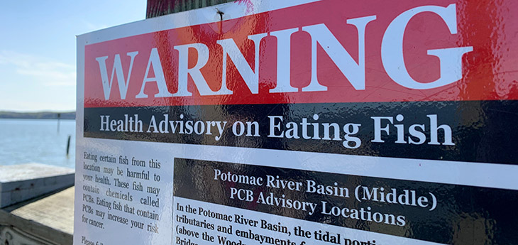 A red, black and white metal sign hangs on a wooden post near a waterway. It says Warning- health advisory on eating fish -PCBs in Potomac River Basin
