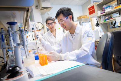 Researchers in the Wang Lab