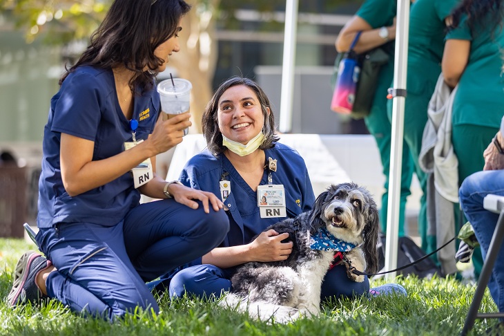 Staff interact with therapy dog.