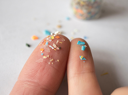 Close-up photo of microplastic pieces resting on the tips of two fingers.