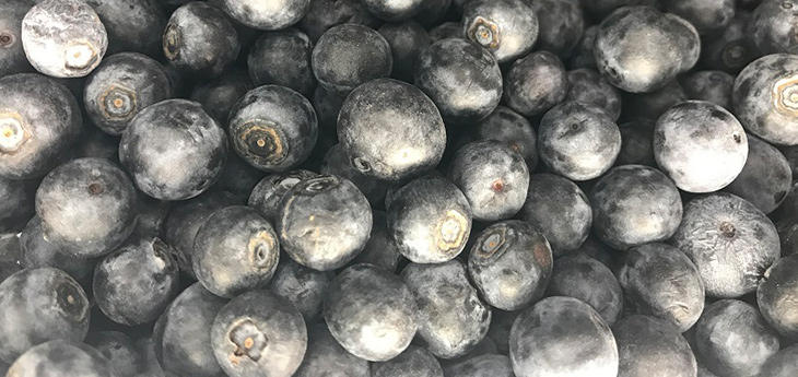 Top 15 healthy foods Blueberries