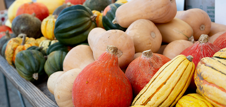 Several varieties of colorful winter squash on a wooden table. 