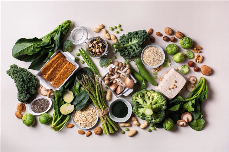 Variety of plant based protein food options.