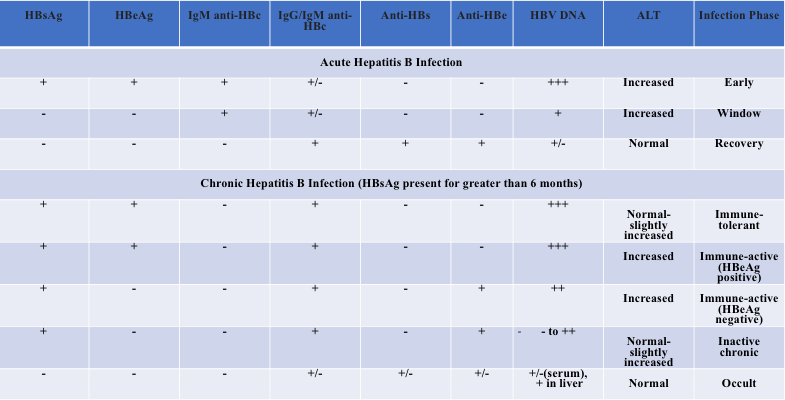 Hepatitis B Serology Chart