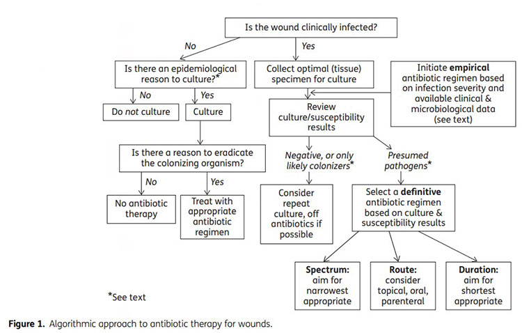 wound infection diagram