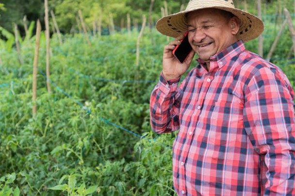Latino man on the phone in a vineyard