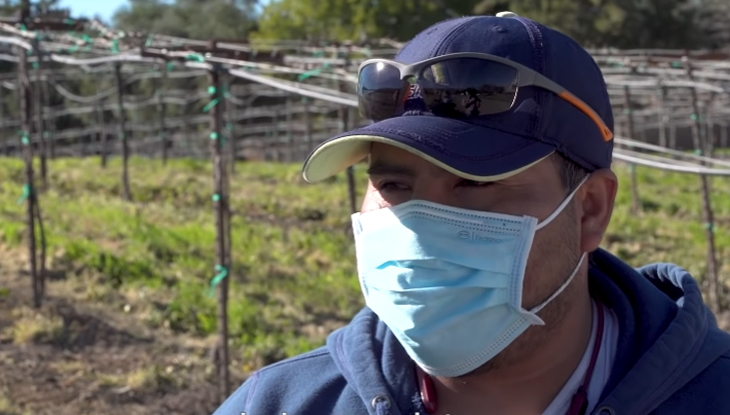 Farm worker standing in the field wearing a mask.