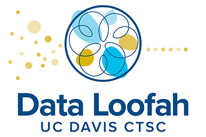 Data Loofah Icon
