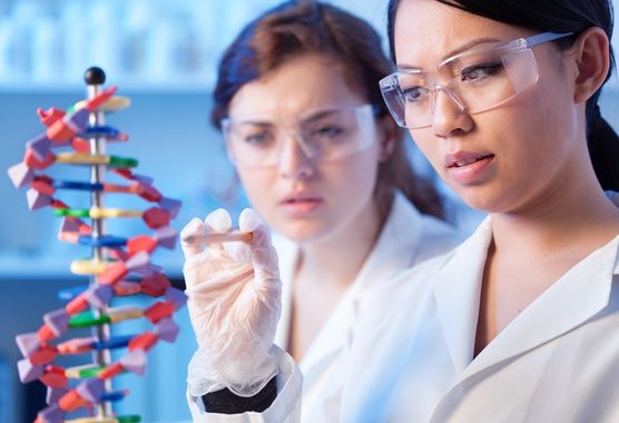 two women looking at DNA model in a lab
