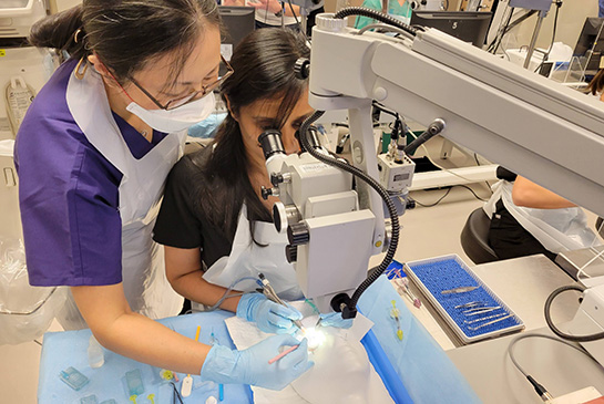 Residents working in the lab