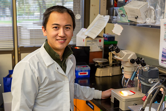 Glenn C. Yiu, M.D., Ph.D.