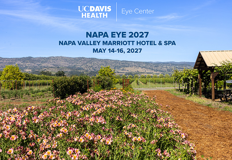 napa eye 2027 banner