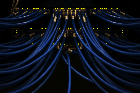 close up of blue IT cables